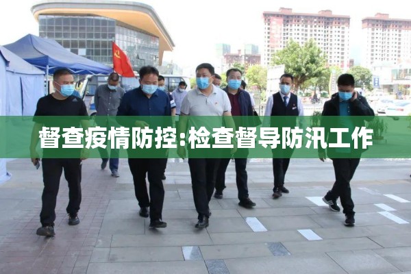督查疫情防控:检查督导防汛工作