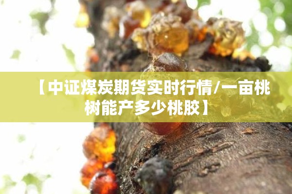 【中证煤炭期货实时行情/一亩桃树能产多少桃胶】 【中证煤炭期货实时行情/一亩桃树能产多少桃胶】