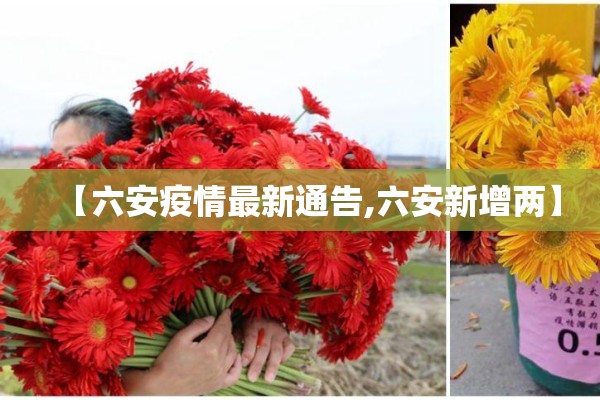 【六安疫情最新通告,六安新增两】 【六安疫情最新通告,六安新增两】
