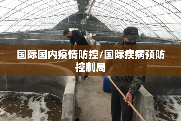 国际国内疫情防控/国际疾病预防控制局