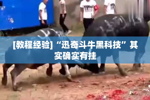 [教程经验]“迅奇斗牛黑科技”其实确实有挂