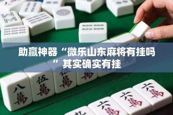 助赢神器“微乐山东麻将有挂吗”其实确实有挂