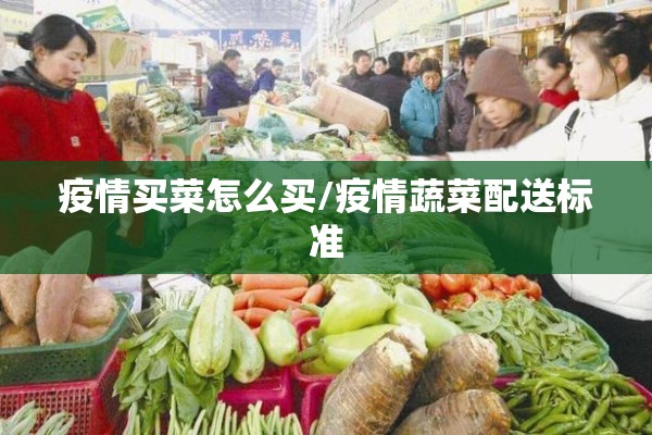 疫情买菜怎么买/疫情蔬菜配送标准