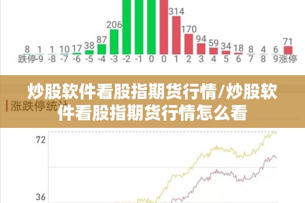炒股软件看股指期货行情/炒股软件看股指期货行情怎么看