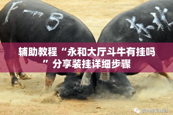辅助教程“永和大厅斗牛有挂吗	”分享装挂详细步骤
