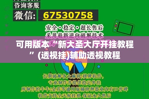 可用版本“新大圣大厅开挂教程”(透视挂)辅助透视教程