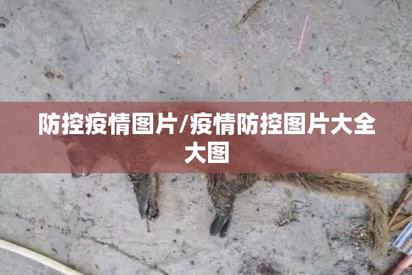 防控疫情图片/疫情防控图片大全大图 防控疫情图片/疫情防控图片大全大图