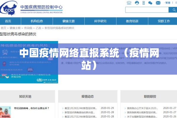 中国疫情网络直报系统（疫情网站）