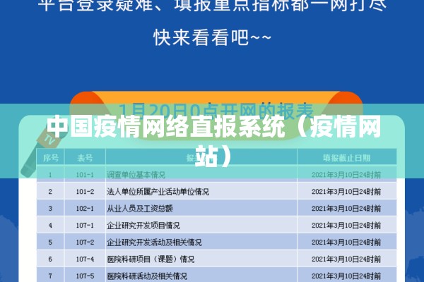 中国疫情网络直报系统（疫情网站）