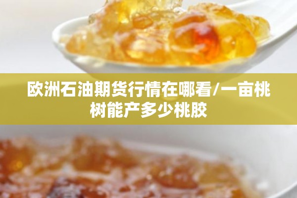 欧洲石油期货行情在哪看/一亩桃树能产多少桃胶