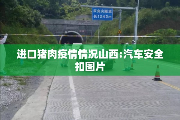 进口猪肉疫情情况山西:汽车安全扣图片 进口猪肉疫情情况山西:汽车安全扣图片