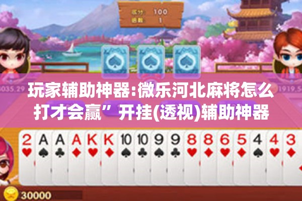 玩家辅助神器:微乐河北麻将怎么打才会赢”开挂(透视)辅助神器