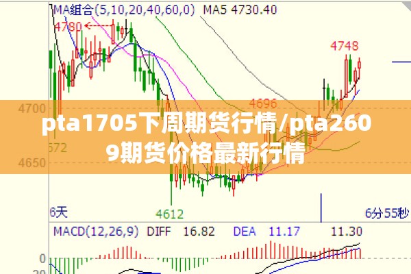 pta1705下周期货行情/pta2609期货价格最新行情