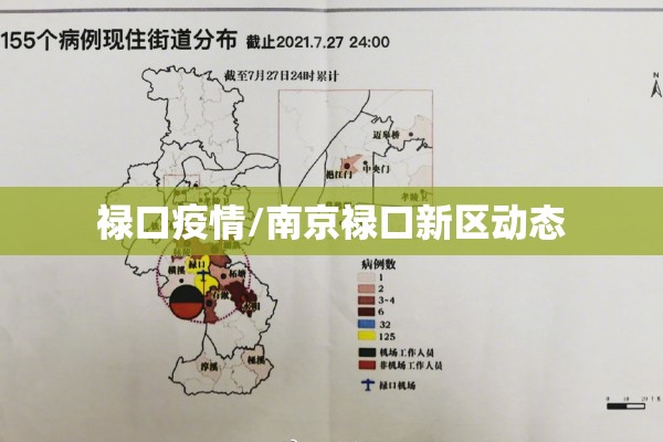 禄口疫情/南京禄口新区动态 禄口疫情/南京禄口新区动态