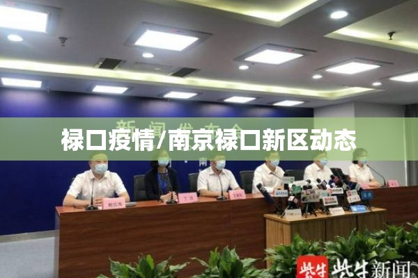禄口疫情/南京禄口新区动态 禄口疫情/南京禄口新区动态