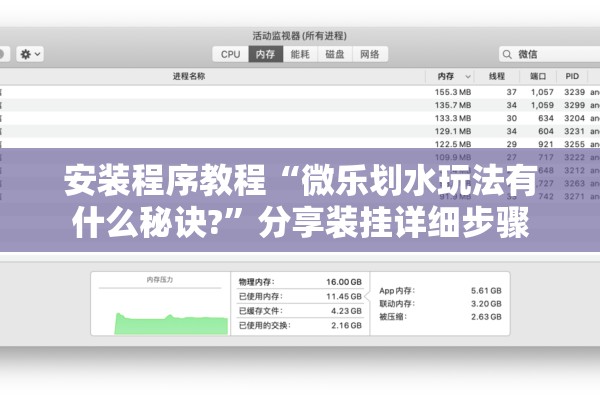 安装程序教程“微乐划水玩法有什么秘诀?”分享装挂详细步骤