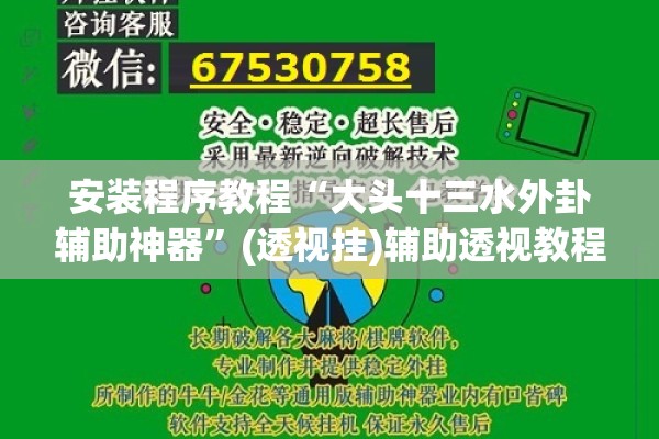 安装程序教程“大头十三水外卦辅助神器	”(透视挂)辅助透视教程