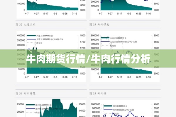 牛肉期货行情/牛肉行情分析