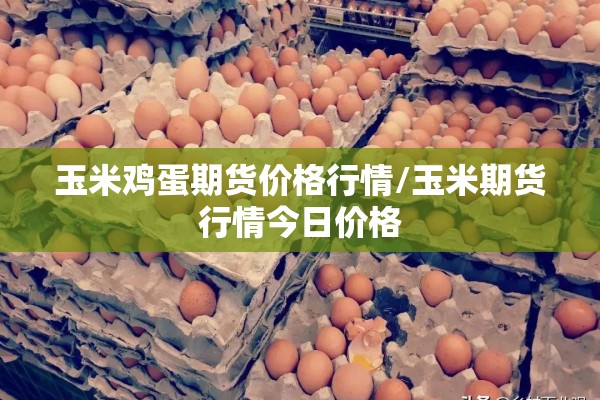 玉米鸡蛋期货价格行情/玉米期货行情今日价格