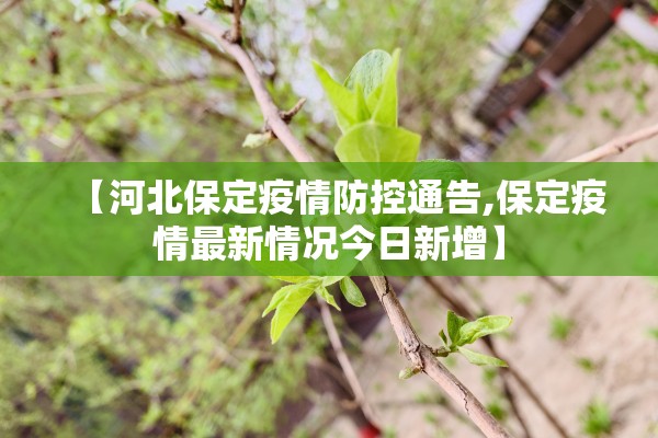 【河北保定疫情防控通告,保定疫情最新情况今日新增】