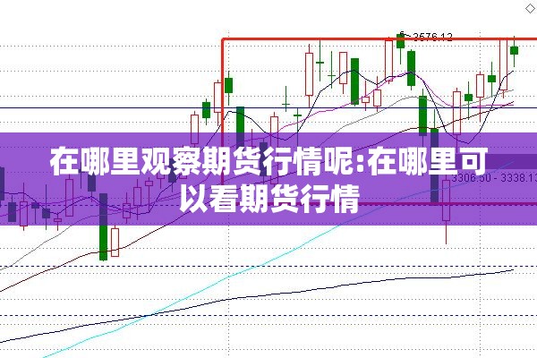 在哪里观察期货行情呢:在哪里可以看期货行情