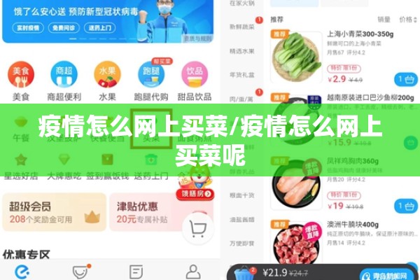 疫情怎么网上买菜/疫情怎么网上买菜呢