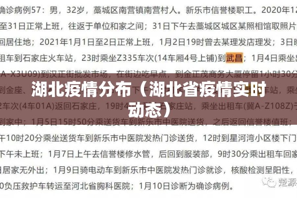 湖北疫情分布（湖北省疫情实时动态）