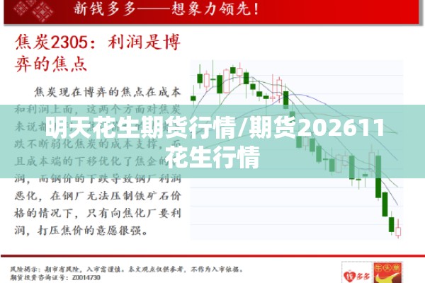 明天花生期货行情/期货202611花生行情