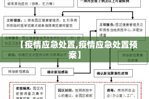 【疫情应急处置,疫情应急处置预案】