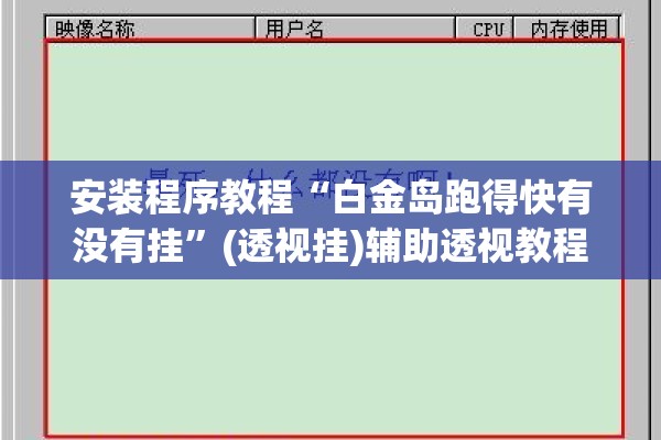 安装程序教程“白金岛跑得快有没有挂	”(透视挂)辅助透视教程