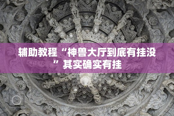 辅助教程“神兽大厅到底有挂没”其实确实有挂