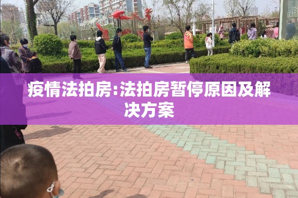 疫情法拍房:法拍房暂停原因及解决方案