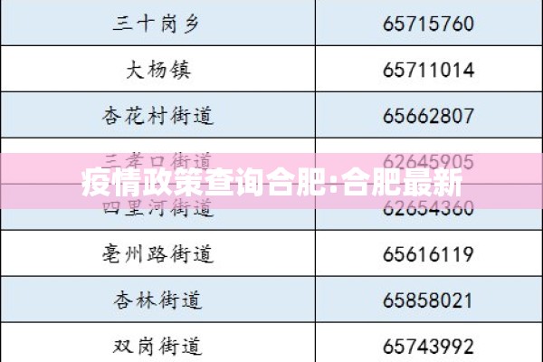 疫情政策查询合肥:合肥最新