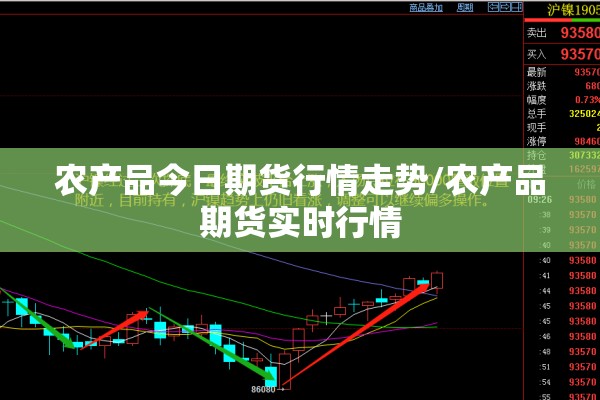 农产品今日期货行情走势/农产品期货实时行情