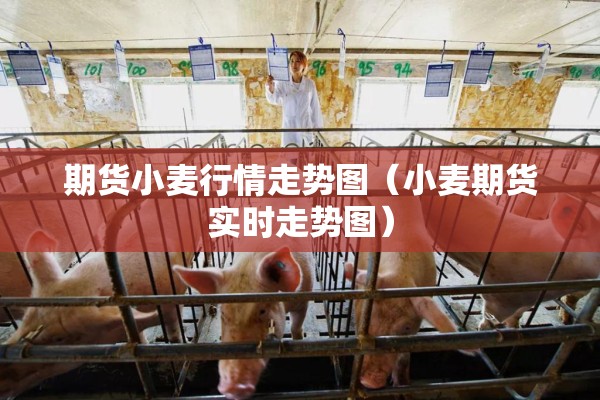 期货小麦行情走势图(小麦期货实时走势图) 期货小麦行情走势图(小麦期货实时走势图)
