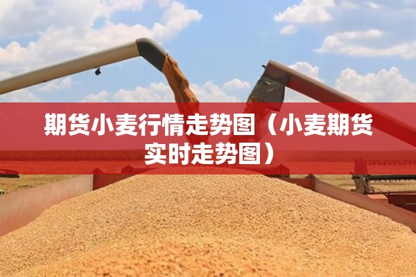 期货小麦行情走势图(小麦期货实时走势图) 期货小麦行情走势图(小麦期货实时走势图)