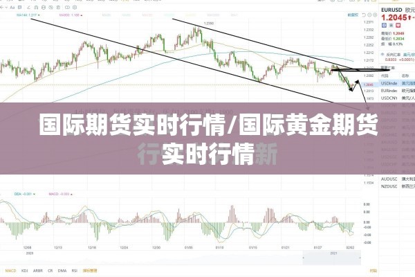 国际期货实时行情/国际黄金期货实时行情