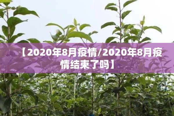【2020年8月疫情/2020年8月疫情结束了吗】
