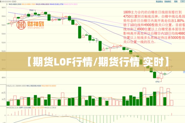 【期货L0F行情/期货行情 实时】