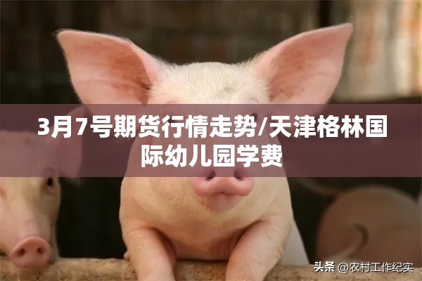 3月7号期货行情走势/天津格林国际幼儿园学费