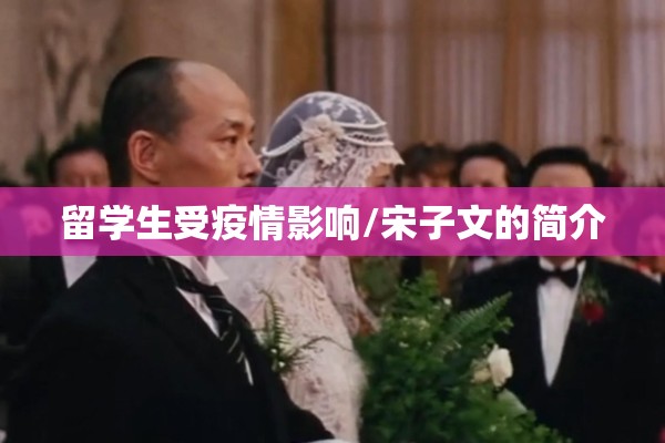 留学生受疫情影响/宋子文的简介