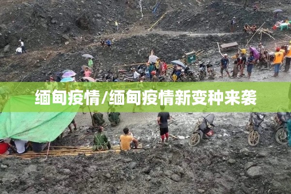 缅甸疫情/缅甸疫情新变种来袭 缅甸疫情/缅甸疫情新变种来袭