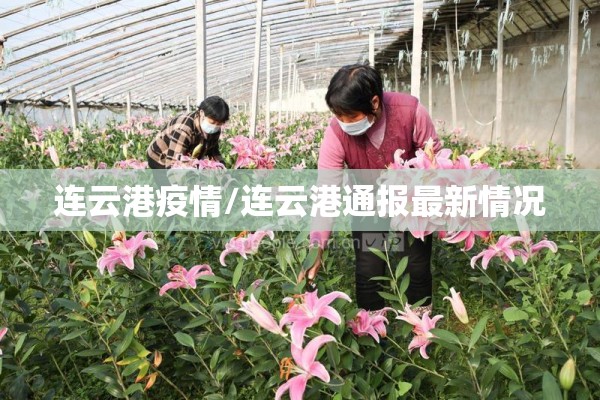 连云港疫情/连云港通报最新情况 连云港疫情/连云港通报最新情况