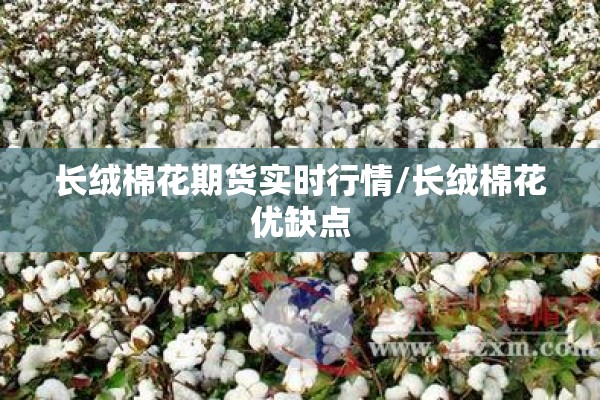 长绒棉花期货实时行情/长绒棉花优缺点