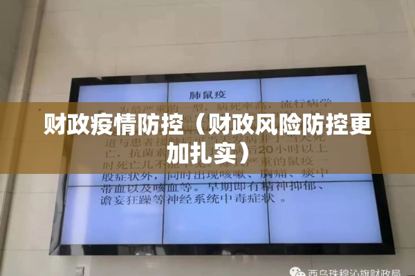 财政疫情防控（财政风险防控更加扎实）