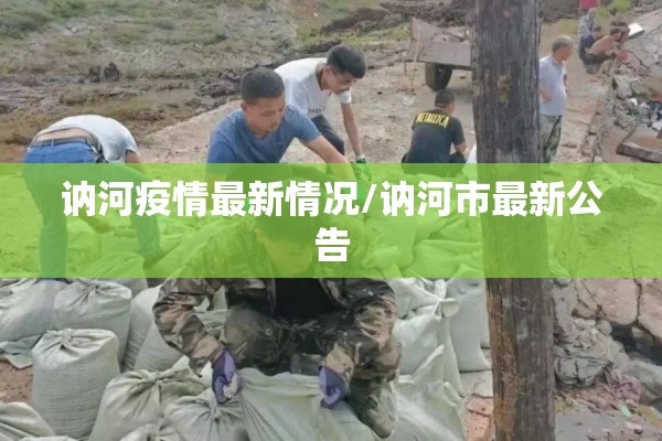 讷河疫情最新情况/讷河市最新公告