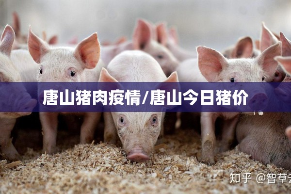 唐山猪肉疫情/唐山今日猪价 唐山猪肉疫情/唐山今日猪价