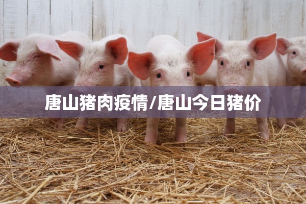 唐山猪肉疫情/唐山今日猪价 唐山猪肉疫情/唐山今日猪价