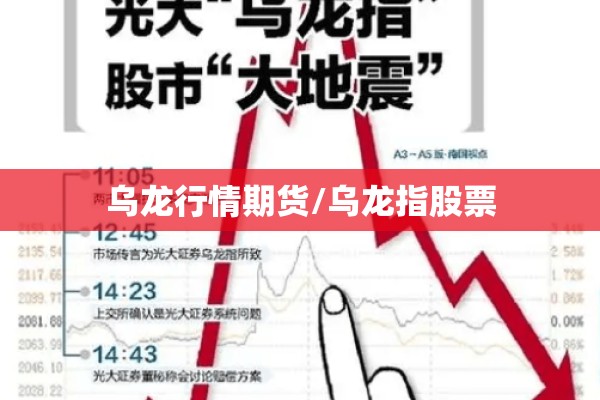 乌龙行情期货/乌龙指股票