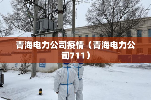 青海电力公司疫情（青海电力公司711）